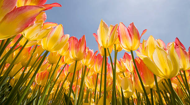 when is the first day of spring