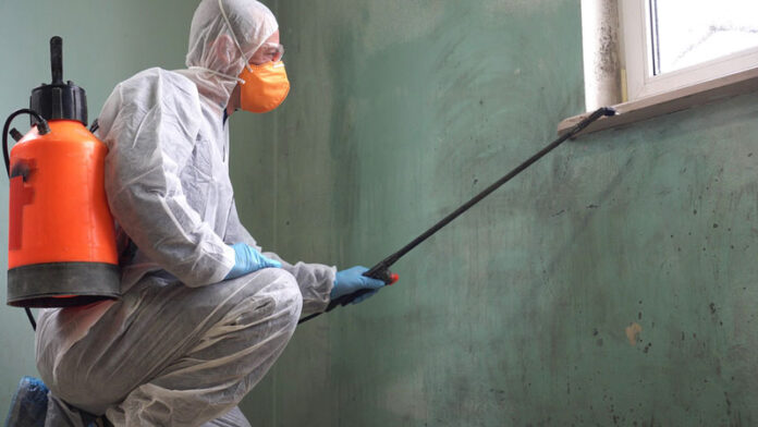 Mold Assessment
