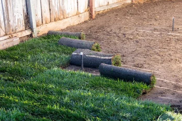 Sod installation